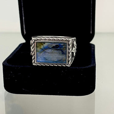 Fleur de Lys Labradorite